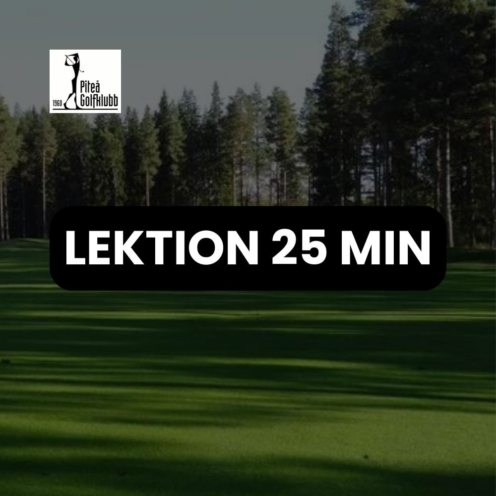 25 MIN LEKTION